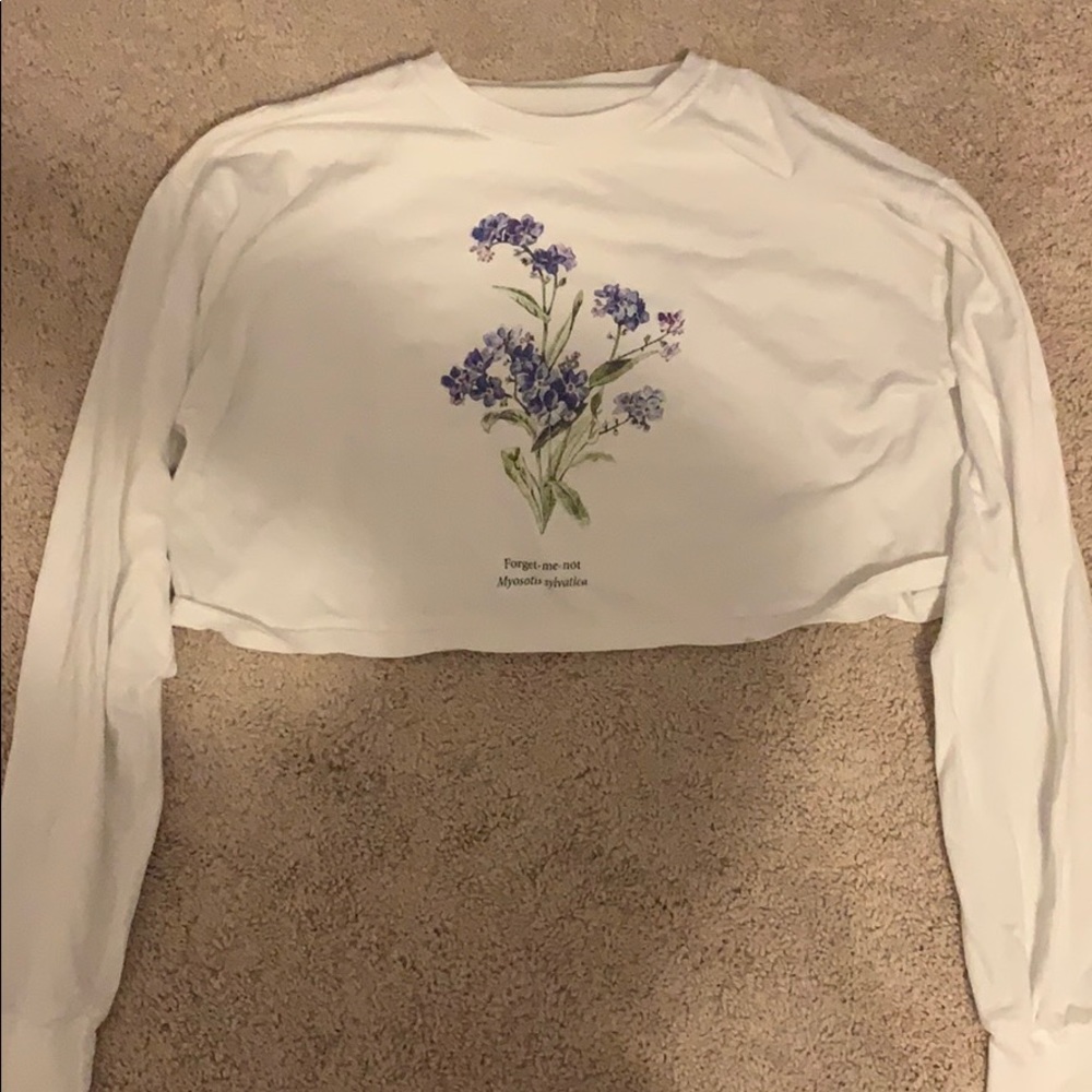 Brandy Melville cropped graphic long sleeve